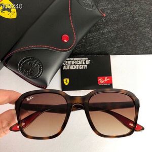 Ray-Ban Sunglasses 669